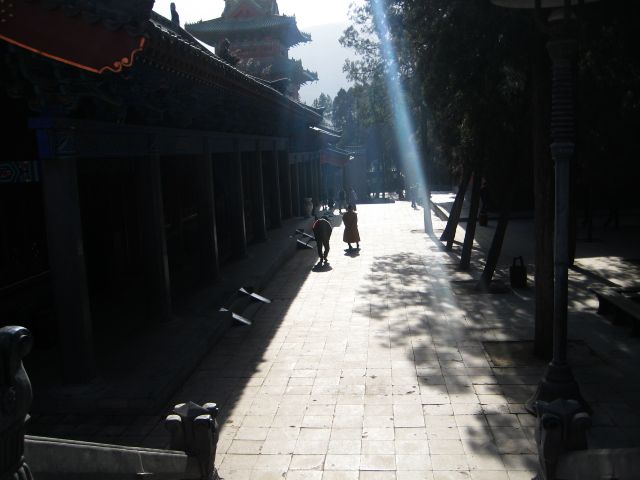 img_11171.jpg