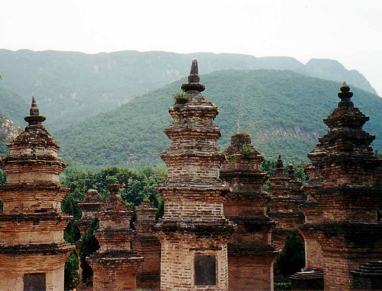 shaolin_pagoda_forest_.jpg